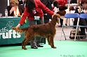 Crufts2011 330